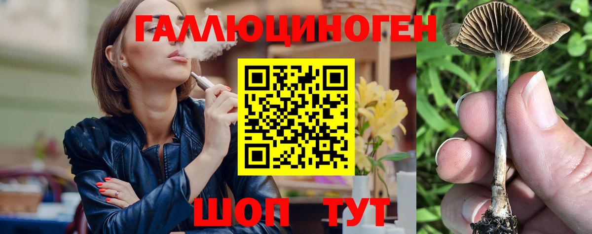Новотроицк  Псилоцибиновые грибы Cubensis  Вход с VPN 